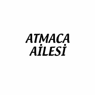 Atmaca Ailesi